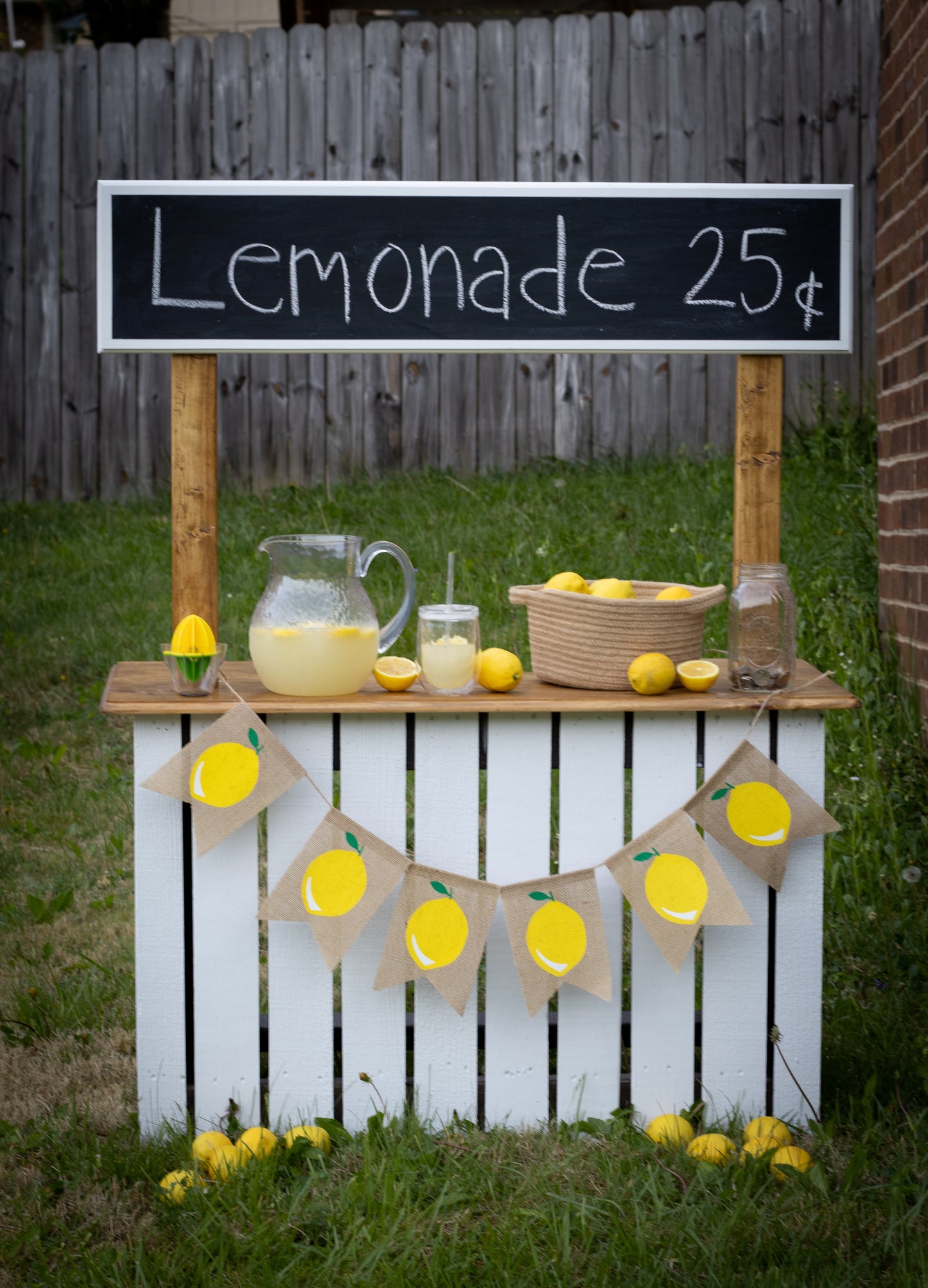 Childrens Lemonade Stand