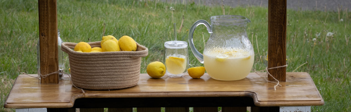 Childrens Lemonade Stand